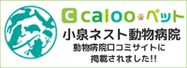 caloo