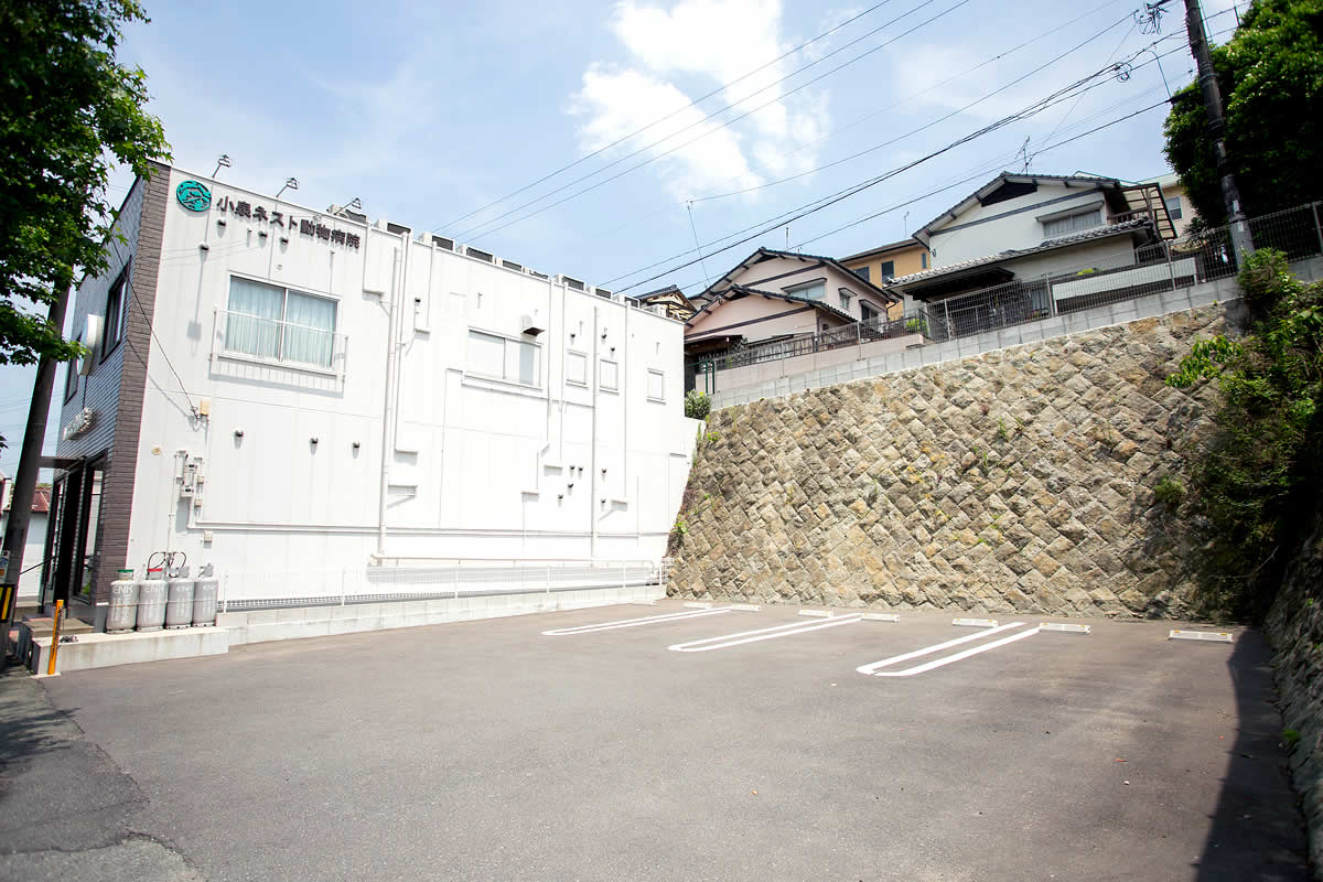 南駐車場