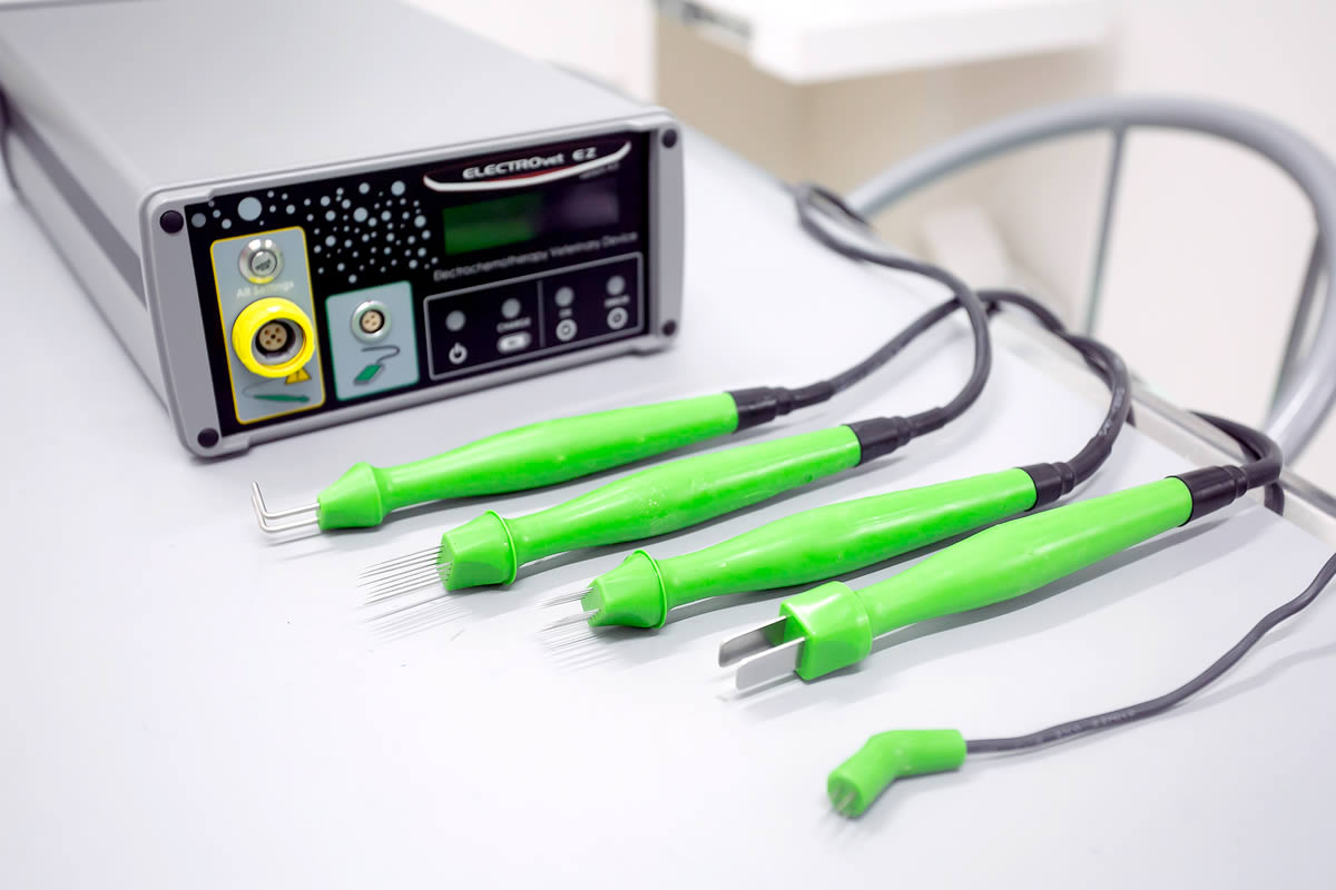 ELECTROvet