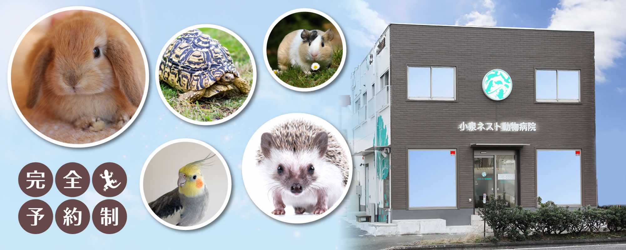 福岡県北九州市の小泉ネスト動物病院は、犬、猫の一般診療に加え、小型哺乳類から鳥類・爬虫類・両生類といった、エキゾチックアニマルの専門医療を提供する動物病院です。